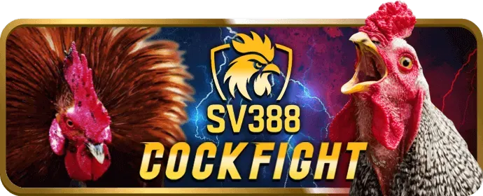 Đá gà Thomo t88 game